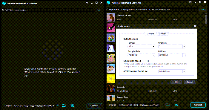 AudFree Tidal Music Converter Latest Version